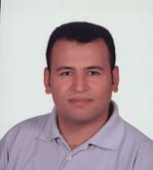 A. Professor Ebraheem Behery, Damietta University Photo