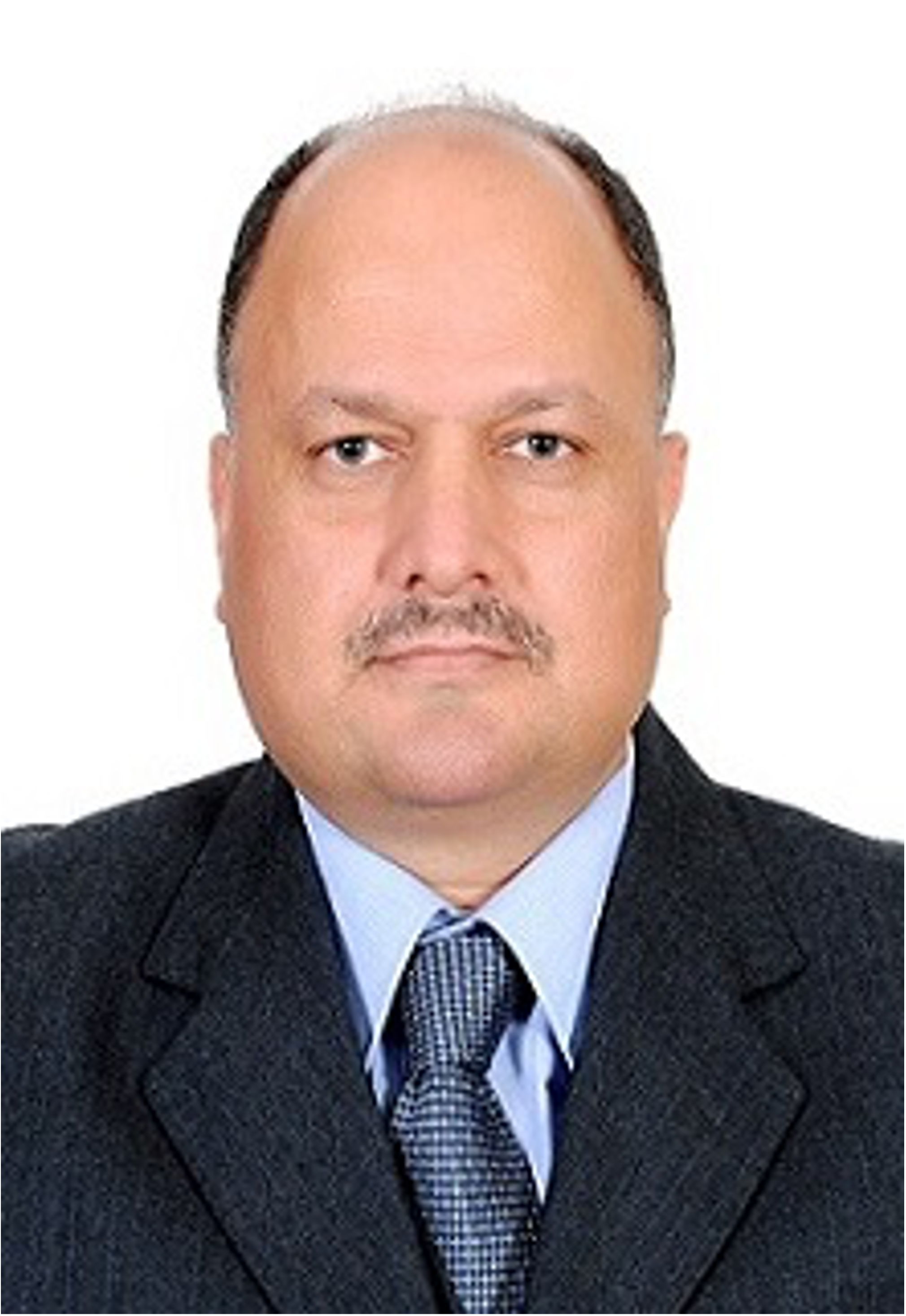 Professor Essam Abdel-Fattah, Zagazig University and Prince Sattam bin Abdulaziz University Photo