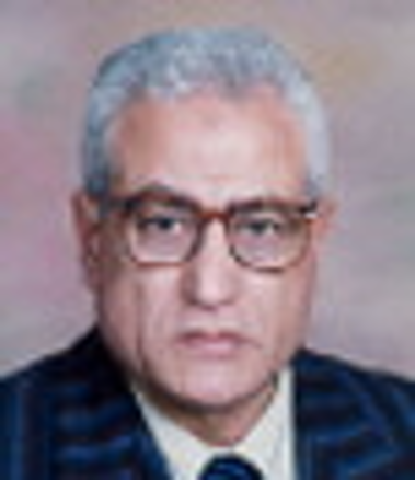 Professor Sayed Elwakil, Mansoura University Photo